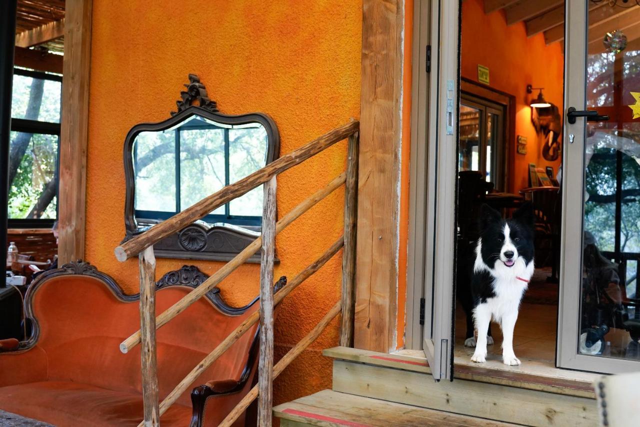 Parod Country Lodge 외부 사진